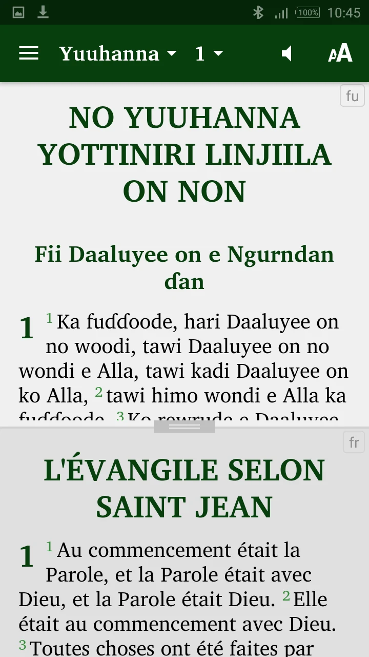 Pular Fuuta-Jallon, fr. En. Ar screenshot