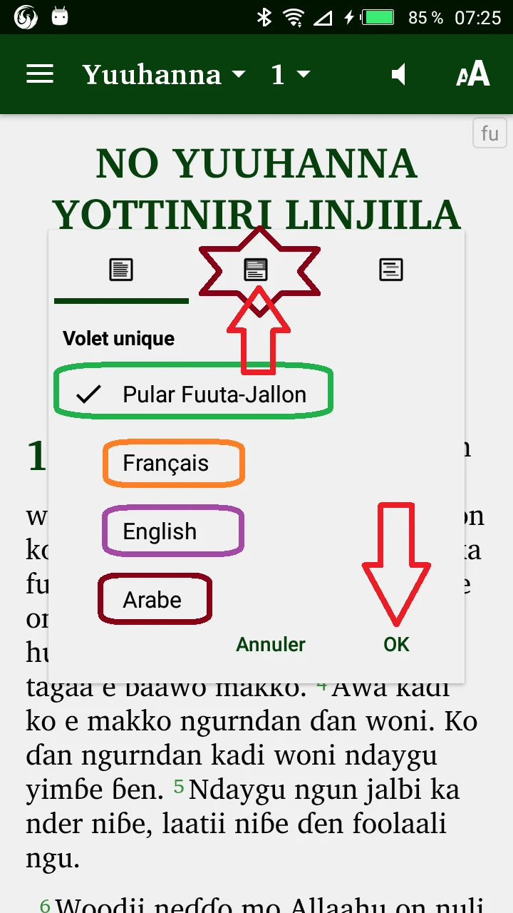 Pular Fuuta-Jallon, fr. En. Ar screenshot